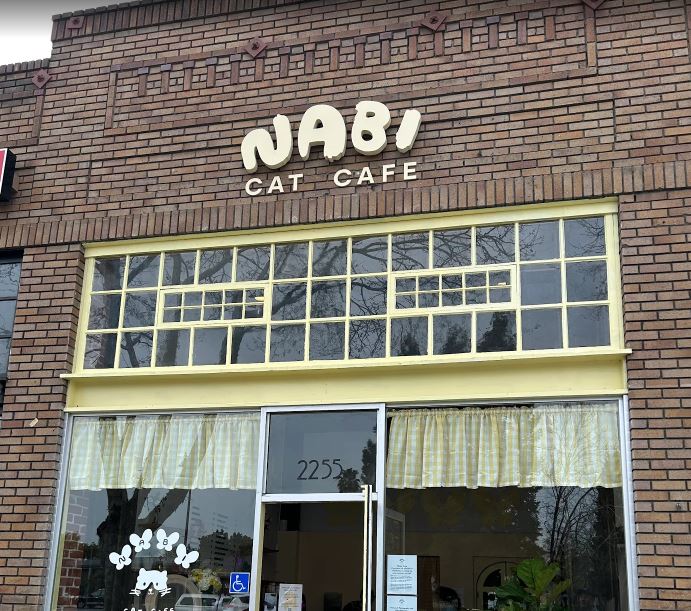 nabi cat cafe